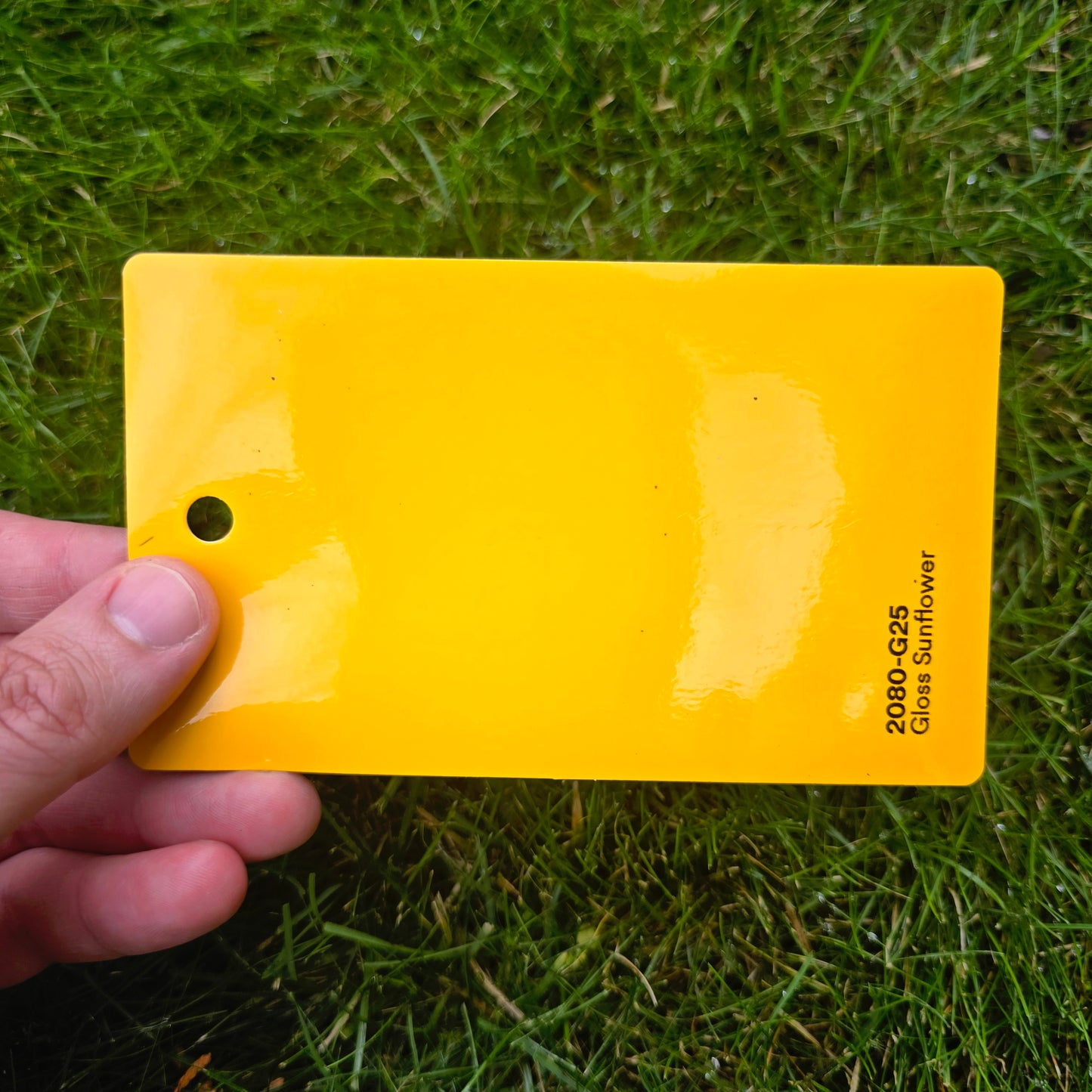 3M 2080 Sunflower Yellow Gloss