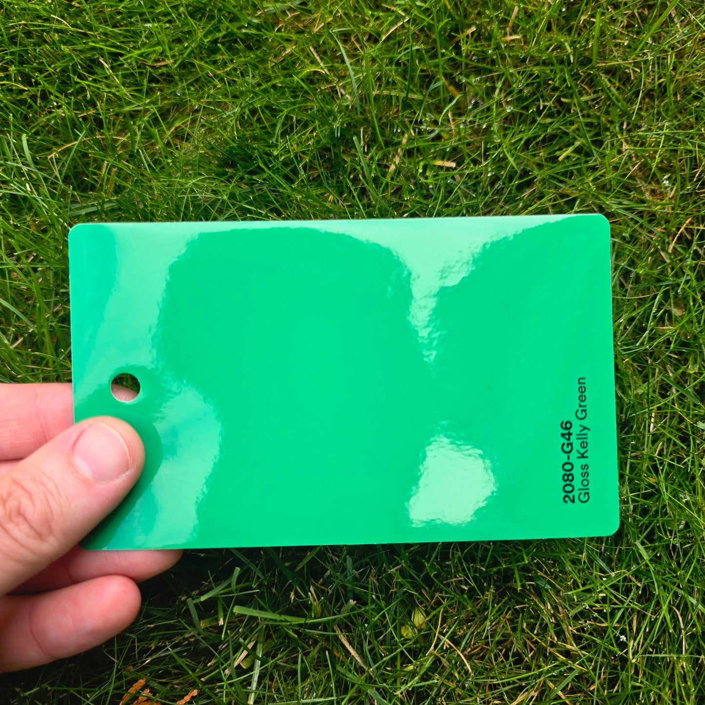 3M 2080 Kelly Green Gloss