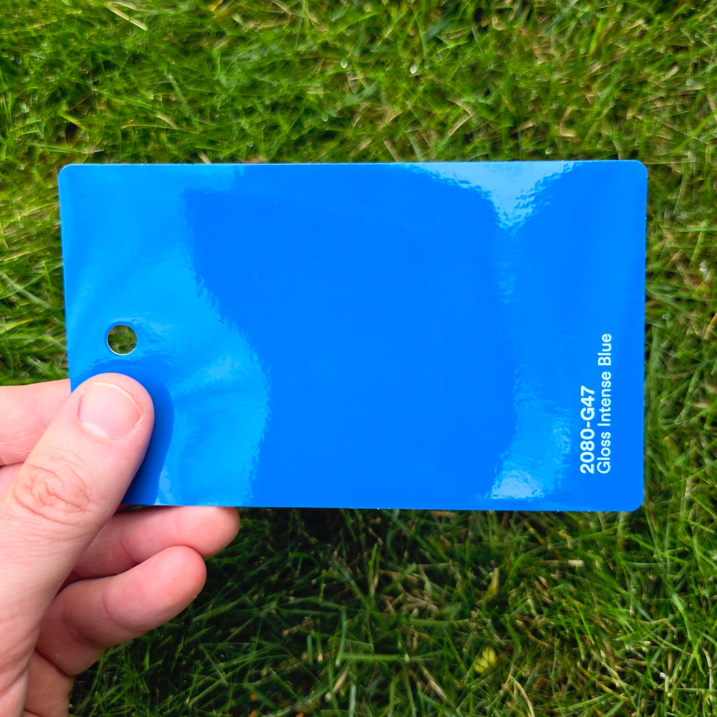 3M 2080 Intense Blue Gloss