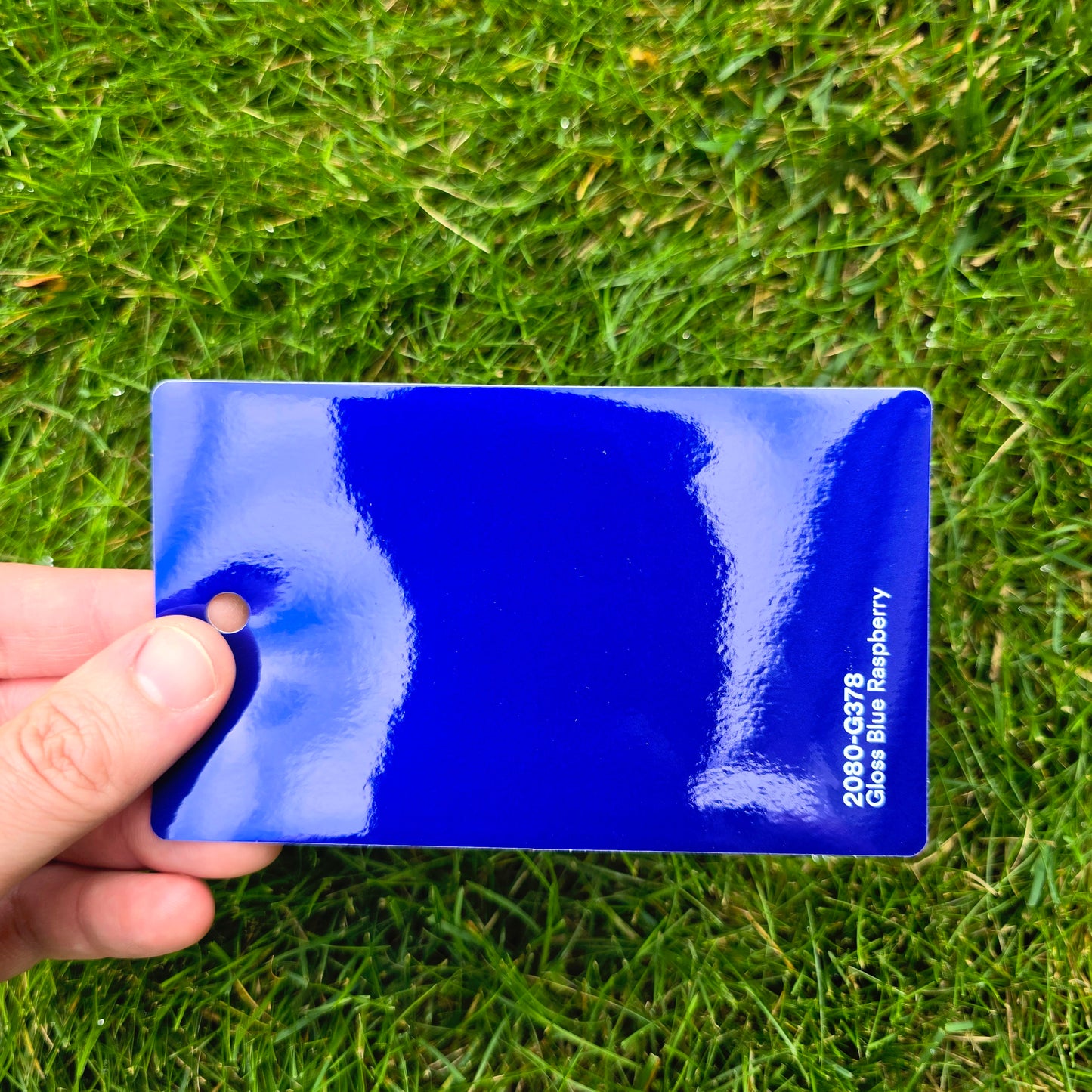 3M 2080 Blue Raspberry Gloss