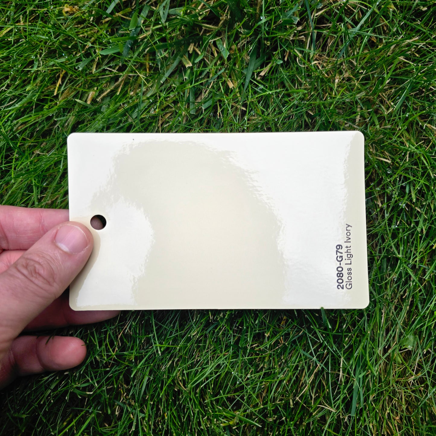 3M 2080 Light Ivory Gloss